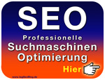 SEO SEM optimieren